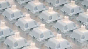 Snow Blue Gray Switches