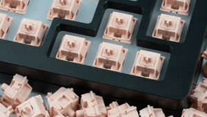 POM Pink Switches
