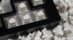 Wine White Switches (Lubed)